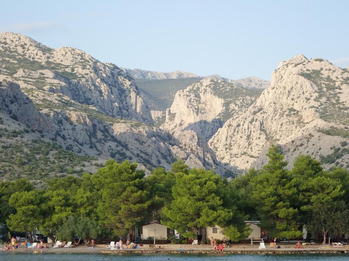 Apartman Branka Starigrad Paklenica Zewnętrze zdjęcie
